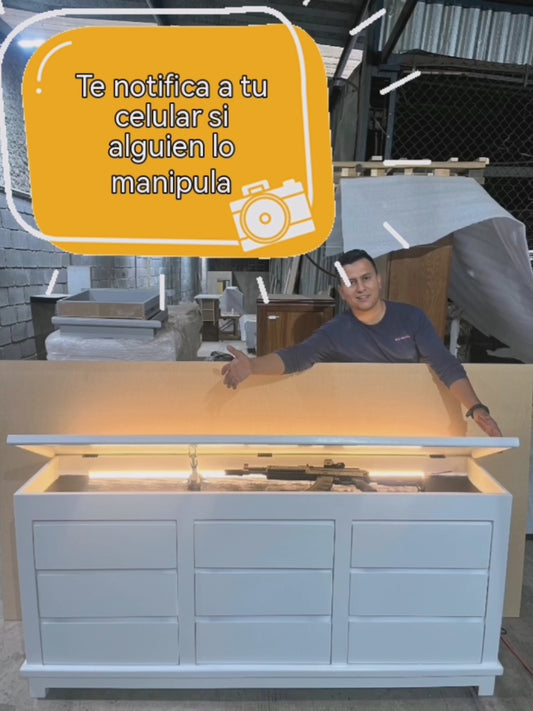 Modelo Z6